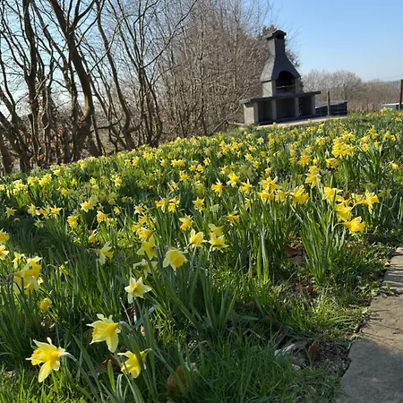 La Maison Des Trois Arbres Villa *