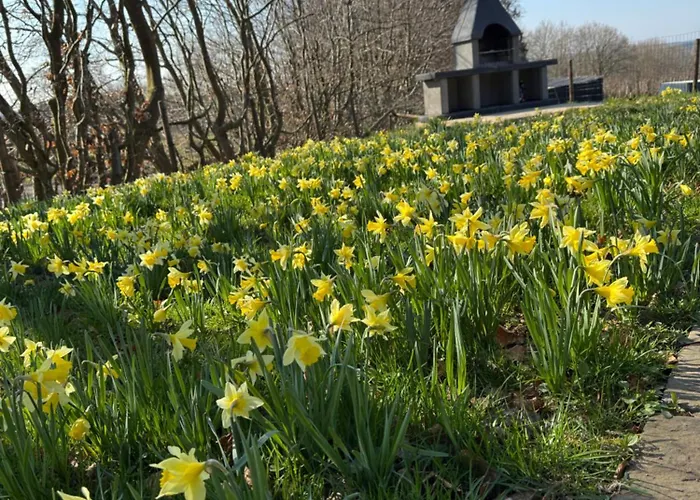 La Maison Des Trois Arbres 빌라 *